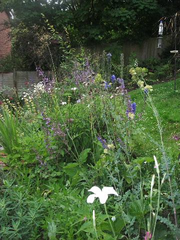 2011_06290012 End of Month Review – June 2011