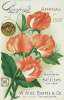 Vintage Seed Packet Images Vintage Seed Packet Images