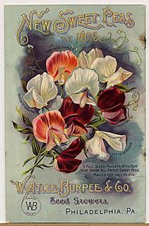 Vintage Seed Packet Images Vintage Seed Packet Images