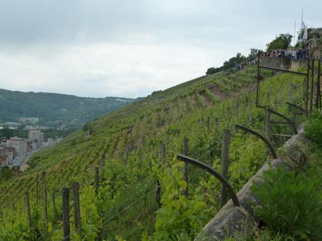 Esslingen Wine Walk