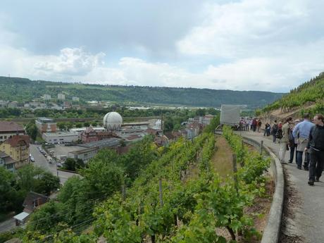 Wine walks are popular in Germany