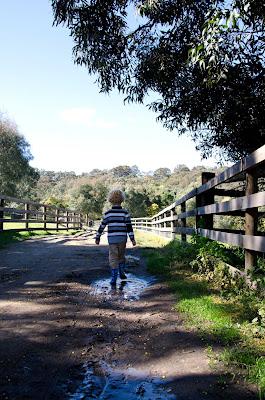 Escaping in my home town - Collingwood Childrens' Farm