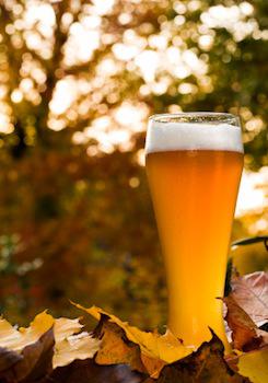Autumn Seasonal Beers – Oktoberfest Gone Wild