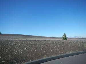 Road Trip Diary Day 10: Salt Lake City to The “Middle of Nowhere, MT”