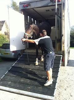 Horses arrived happy and healthy, plus a new addition to the team!