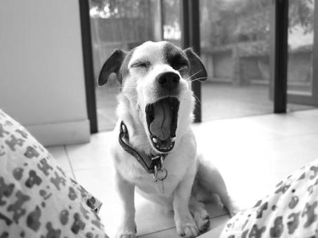 jack_01 Blog Breakaway – “Lunes” Ancient Poetry by Yours Truly