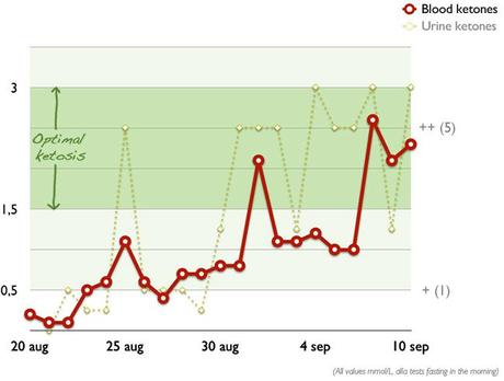 Experiment: Optimal Ketosis for Weight Loss and Improved Performance