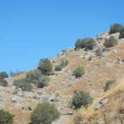 California Countryside 2 California Countryside 2