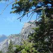 Kings Canyon National Park 1 Kings Canyon National Park 1