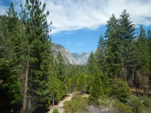 Kings Canyon National Park - View from bottom 2 Road Trip Diary Day 17 Sequoia and Kings Canyon National Park