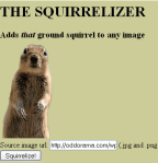 Going Nuts For Squirrels Online