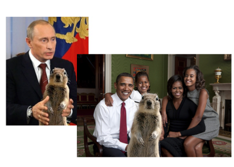 Putin & Obama Family Squirrelized