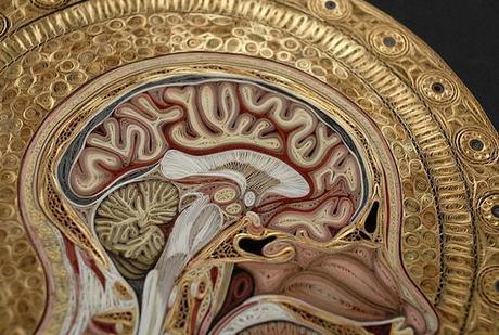 Angelico - Lisa Nilsson Angelico - brain detail