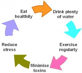What exactly Healthy Lifestyle mean