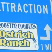 Rooster Cogburn Ostrich Ranch