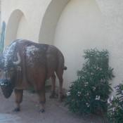 Buffalo Statue Arizona