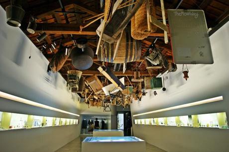 A day at the prehistory and ethnology Museum in Valencia turisms in valencia prehistoric museum themowway