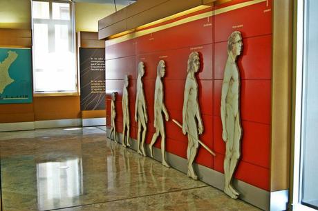 A day at the prehistory and ethnology Museum in Valencia turisms in valencia prehistoric museum themowway