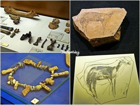 A day at the prehistory and ethnology Museum in Valencia turisms in valencia prehistoric museum themowway