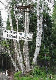 picnic in the tree EF! Action Camp in Maine coming up soon…