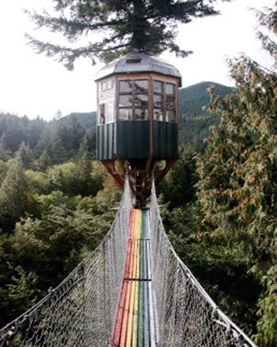 Eco day~Tree house hotel designs cedar creek tree observatory 1 Eco Day ~ Tree House Hotel Designs HomeSpirations
