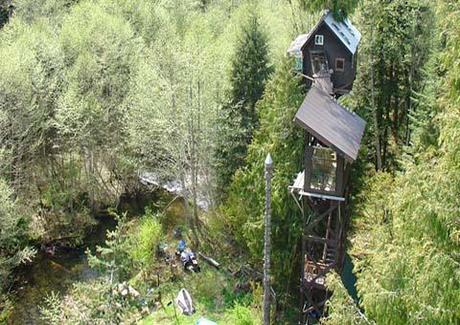 Eco day~Tree house hotel designs Cedar Creek Eco Day ~ Tree House Hotel Designs HomeSpirations