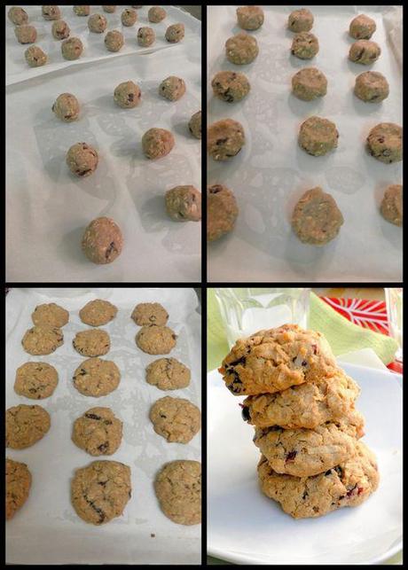Chewy Oatmeal & Fruit Cookies collage