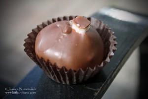 Cocoa Safari Chocolates: Madison, Indiana Cocoa Safari Chocolates: Madison, Indiana