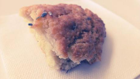 Phone Photography: Randomness Phone Photography: Randomness