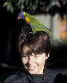Australia's LAMINGTON NATIONAL PARK:  A Birdwatcher's Paradise