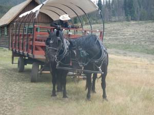 Wagon Ride at Keystone Pet Friendly Review: Inn at Keystone, Keystone CO