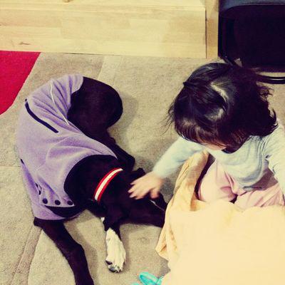 Lil' Tiger giving Lucky a head rub Lil' Tiger giving Lucky a head rub