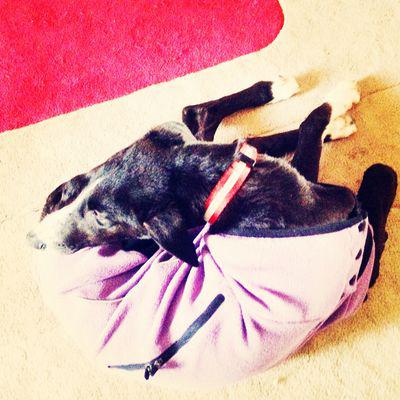 Foster mom Foster mom