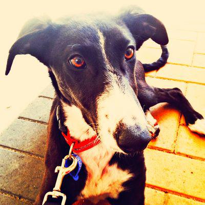 Foster mom Foster mom