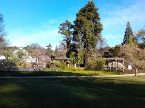 Morning in the Botanical Gardens