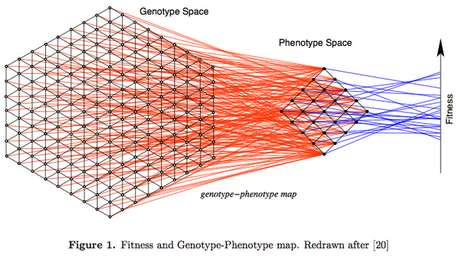 Genotype-phenotype maps and mathy biology