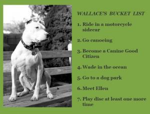 Wallace’s bucket list