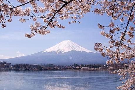Learn Japanese in Japan: Lake Kawaguchiko Sakura Mount Fuji