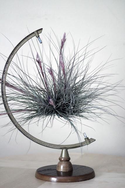 DIY: Clean Air Plant for Earth Day