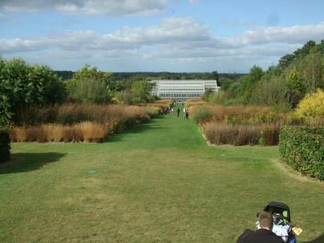 Wisley is Not Just for Winter