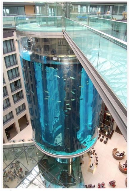 Aquadom, Worlds Largest freestanding cylindrical aquarium