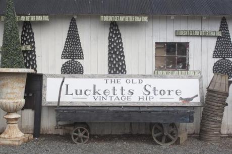 Wandering Into A Dream (The Old Lucketts Store & Design House)