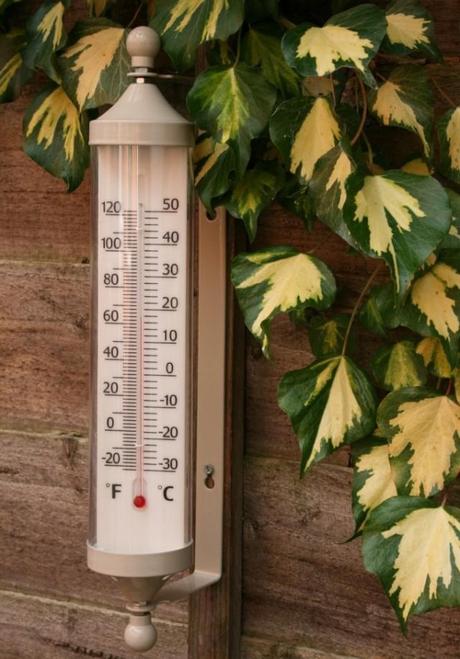 Garden Trading outdoor thermometer