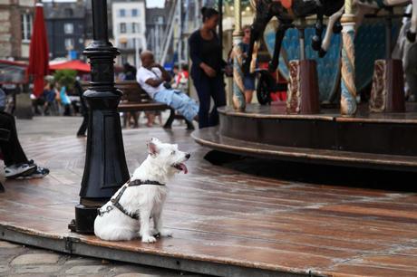 Honfleur in the summer