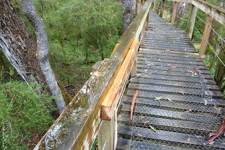 repaired handrail on ralphs bridge