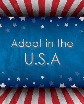 Domestic adoption in America