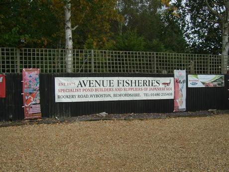 Autumn at Avenue Fisheries