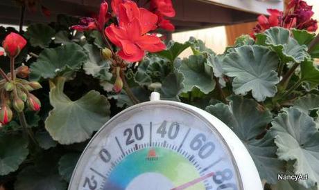 Greenhouse is Alive and Well Greenhouse is Alive and Well