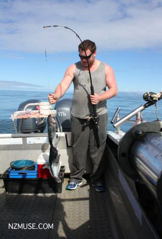 KAIKOURA FISHING CHARTER KAIKOURA FISHING CHARTER
