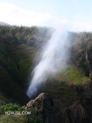 PANCKE ROCKS BLOWHOLE PANCKE ROCKS BLOWHOLE